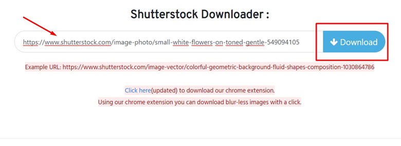 download free shutterstock